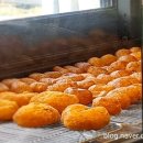 강추찹쌀꽈배기&핫도그 이미지