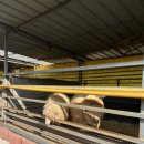 사촌한우농장 이미지