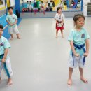 대룡태권도장 이미지