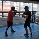대전 여성복싱 | 화명동복싱 용인대W복싱짐 2호점 방문후기