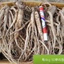 으뜸농약 이미지