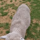 억척목장 이미지