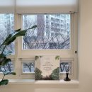 분당미켈란치과의원 이미지