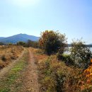 행정사사무소 세종 이미지