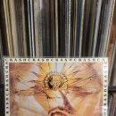 메탈락 경연대회 | [인천LP카페]8090 한국 락/메탈 LP 콜렉션 대공개!!