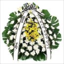 장림1동-9 이미지