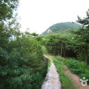 금정 Daum카페