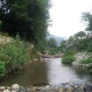 꽃피는부동산중개 이미지