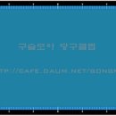 모아당구클럽 이미지