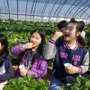 호연지기태권도장 이미지