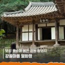 시목회관 밑 도로변 | 보성 여행코스 추천 당일치기 옷소매 붉은 끝동 촬영지 강골마을 보성 열화정 후기
