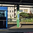 청주IT과학고등학교 | 청주IT과학고등학교 청렴교육(2024.6.26)