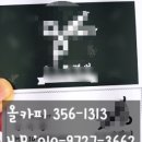 올카피 이미지