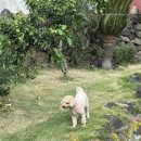 영신목재 이미지