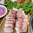 영원참숯갈비 | [세종 고기집] 항아리 통삼겹살 잉꼬가든 솔직후기 (주차/반려동물 동반)🔥