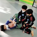 용인대 가온도장 이미지