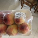 포도나무 민박 이미지