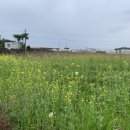 봉수봉찬