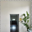 용문워시존 이미지