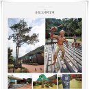 산향기의 속리여행 네이버블로그
