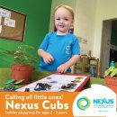 Nexus is opening its doors to little cubs aged 2 to 3 years old 이미지