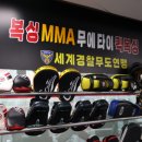 킥복싱 무에타이 복싱 MMA 국제체육관 효성점 이미지