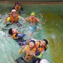 호룡태권도 이미지