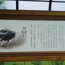 정사당 이미지