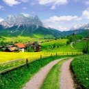 하나의선택 이미지