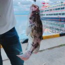 실로암1농장 | 여행하는부부80탄 행복했던 연휴♥