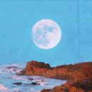 복산동-2 이미지