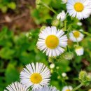 삼주세탁소 이미지