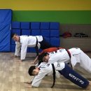 용인대 동아태권도장 이미지