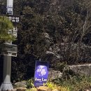 아베크락 | 청평펜션! 자연속에서 즐기는 힐링, 아베크락 방문후기