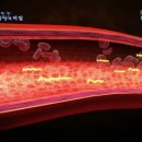 나루동물병원 이미지