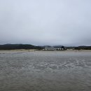 신두리해수욕장 이미지