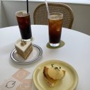 디노엘(de Noel) 이미지