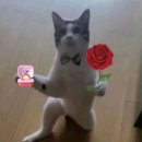 오캄 고성_여행일기 : 스테이<b>오캄</b>, 외국 같았던 대포항