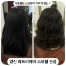 양산 물금 미용실 라트리헤어 스파힐 본점 다영 디자이너님 젤리펌 추천 후기