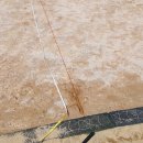 삼어초등학교 이미지