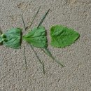 방죽어린이집 이미지