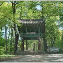 문경의 사찰, 대승사(大乘寺)_210505 이미지