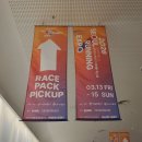 서부자원 | 26년 동아마라톤 자원봉사 후기!