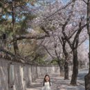 신평동390 네이버블로그