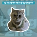 달봉이네 대연점 이미지