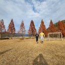 작원관지 이미지