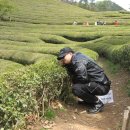 지리산(대구) 이미지