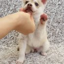 콜드베이켄넬