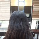 이가자헤어비스도청점