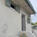 라니네 애견샵 | 수원 행궁동 반려견 동반 식당 ‘고브드 타운’🐾 내돈내산후기